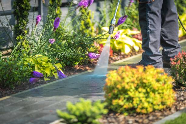 Professional Pressure Washing Services in Ashland, VA